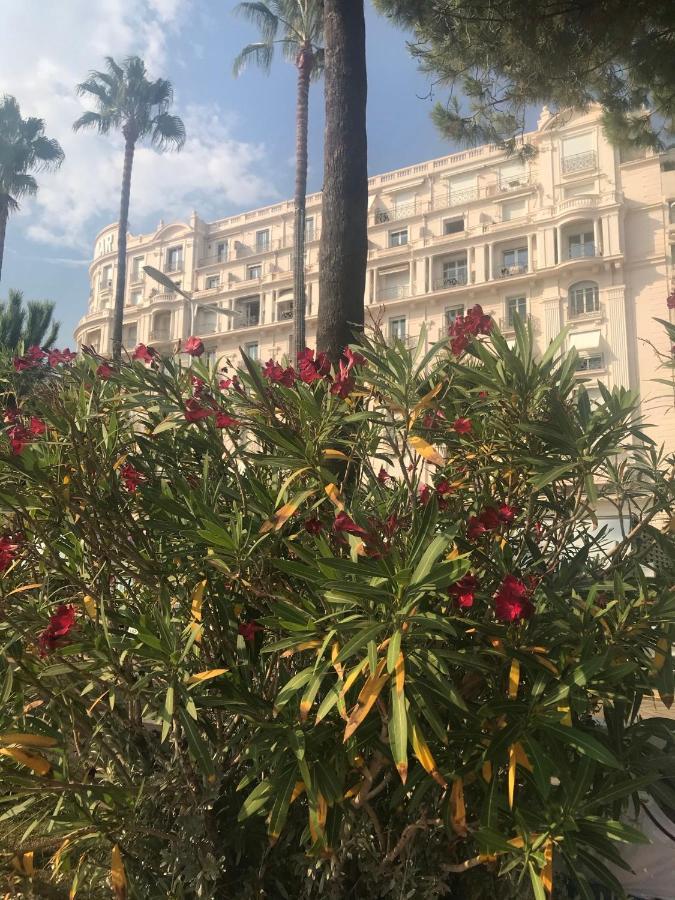New - Cosy & Nice Apartment In Palais Miramar Cannes Kültér fotó